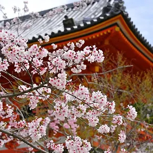 Appart hôtel Sakura Gion North, Kyoto